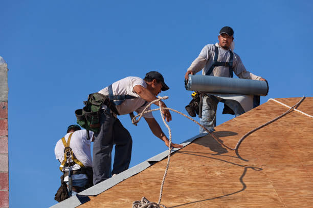 Best Roof Repair Services  in Reidsville, NC