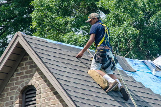 Best Flat Roof Repair Services  in Reidsville, NC